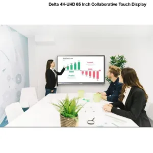 Delta ED865i Interactive Display